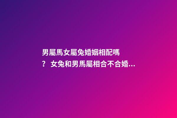 男屬馬女屬兔婚姻相配嗎？ 女兔和男馬屬相合不合婚姻，女兔 和 男馬 合不合？